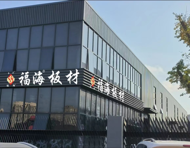 见证辉煌：2025 “中品榜”健康板材十大品牌榜单公布(图6)