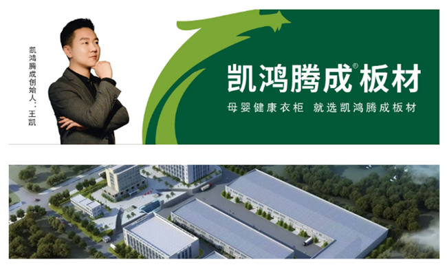 见证辉煌：2025 “中品榜”健康板材十大品牌榜单公布(图9)