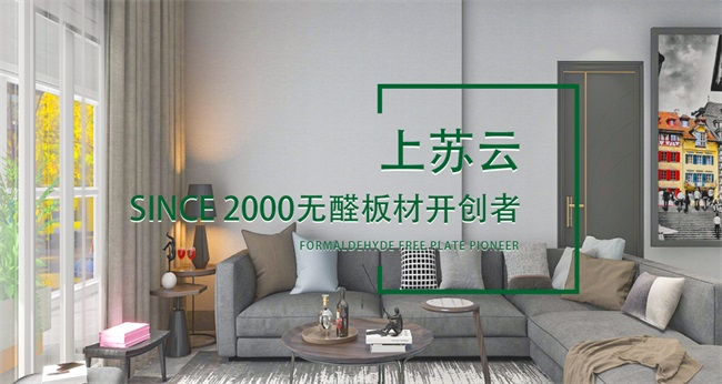 见证辉煌：2025 “中品榜”健康板材十大品牌榜单公布(图12)