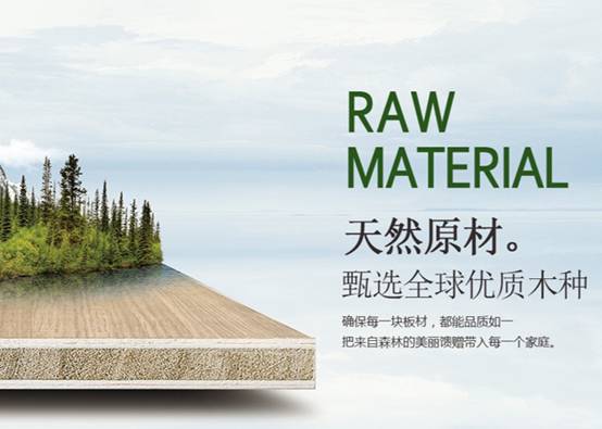 天山板材：诚信315品质见证每一刻(图3)