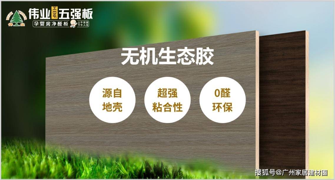 一胶改写行业！伟业五强板让家装隐患集体“退网”(图2)