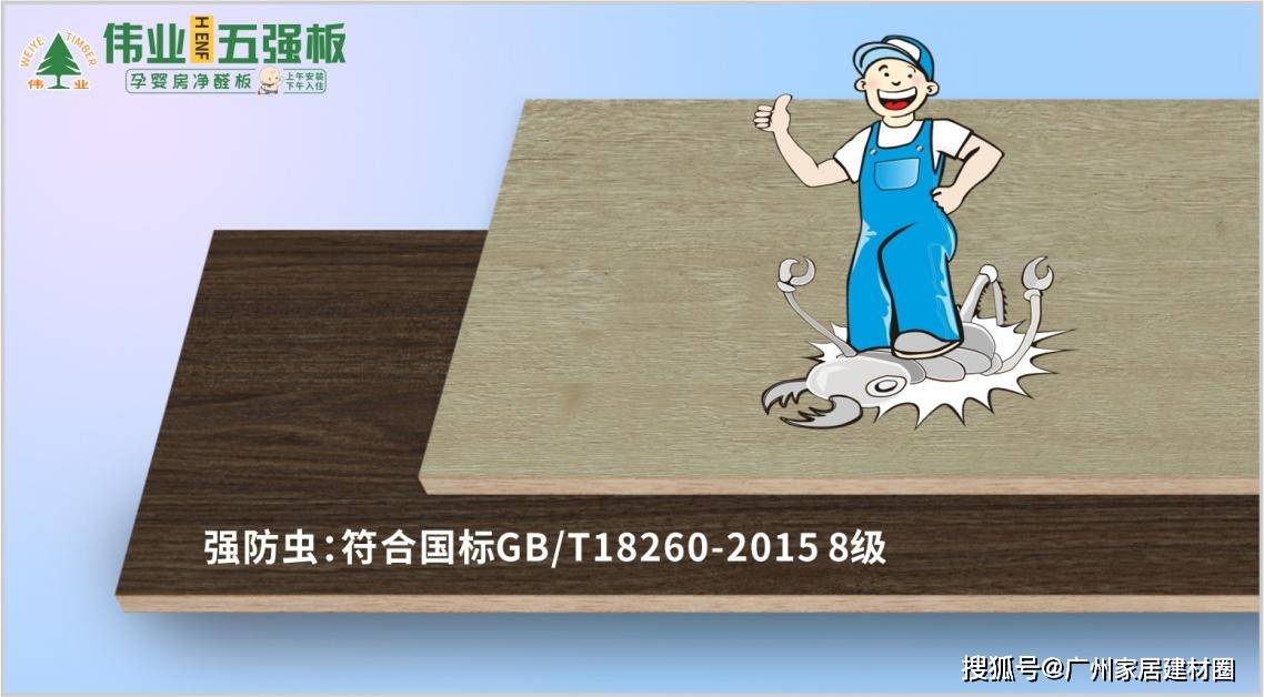 一胶改写行业！伟业五强板让家装隐患集体“退网”(图6)