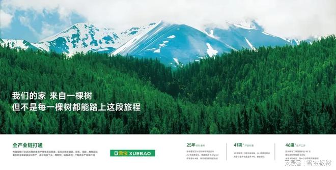 问鼎2025“中品榜”榜单雪宝荣获板材十大影响力品牌(图2)