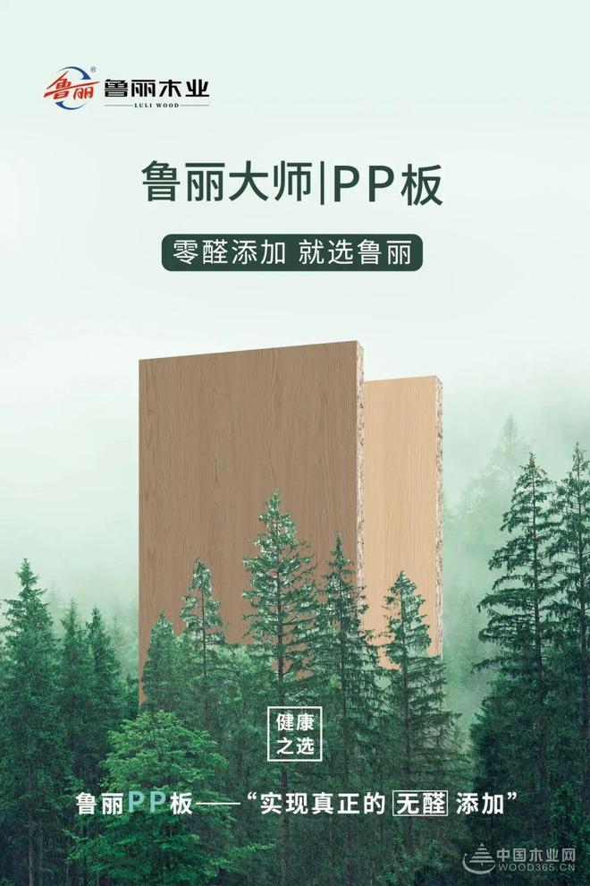 四金加冕 再书华章 鲁丽木业引领行业高质量发展(图5)