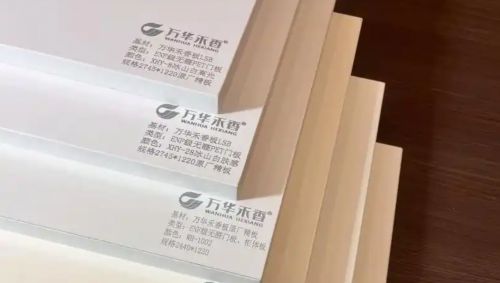 2025年最新中国板材十大品牌排名榜公布(图4)