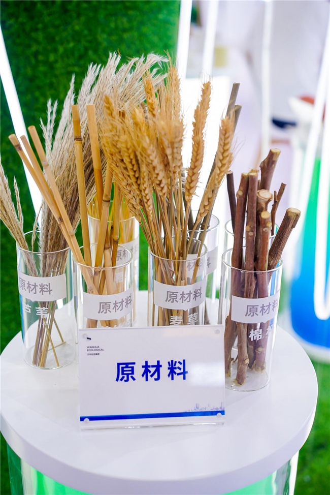 7天焕新家：万华生态装配式整装破解4000万旧改“麻烦”困局(图4)