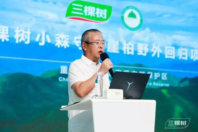 三棵树小森板战略升级 开启健康美学家居空间新时代(图8)