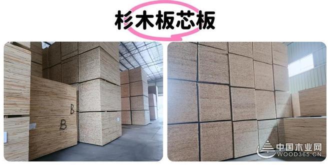 健康家居的安心之选：杰业板材新品通过ENF环保级别检测(图2)