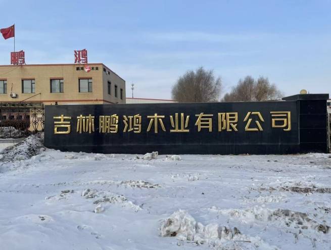 打柜子板材什么品牌好？2025年市场热销