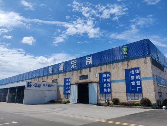 2025 家居建材趋势报告：板材十大品牌引领环保消费升级(图3)