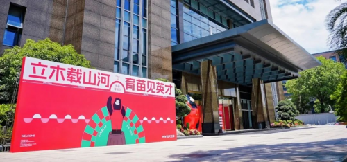 兔宝宝、大王椰等板材巨头实力对决下的 TOP3 席位之争与行业新机遇(图8)