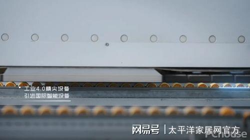 环保为基品质为本板材头部品牌的大王椰如何成就口碑典范？(图6)