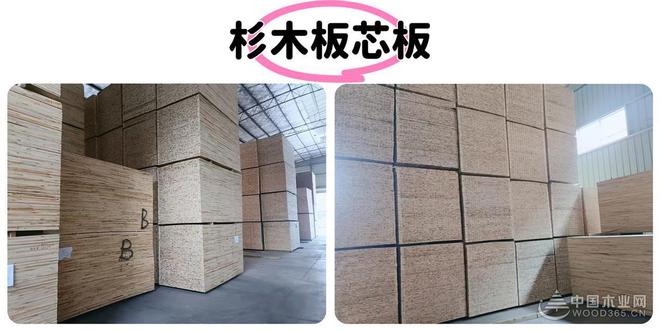 承诺落地！杰业板材ENF级全矩阵升级上市 环保与质感双进阶(图2)