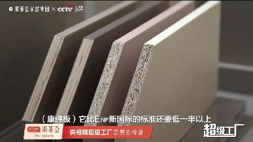 来自权威媒体的家居“环保指南”：央视网走访索菲亚实录(图2)