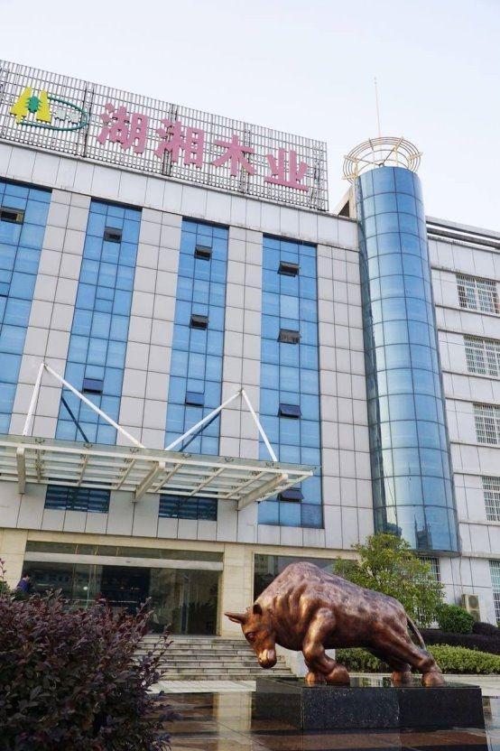 2025板材十大品牌排名发布引领行业新潮流！(图3)
