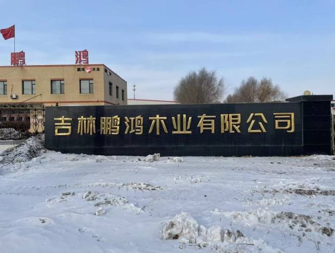 鹏鸿木业荣膺“颗粒板十大品牌”前列以匠心品质领跑环保家居新赛道(图1)