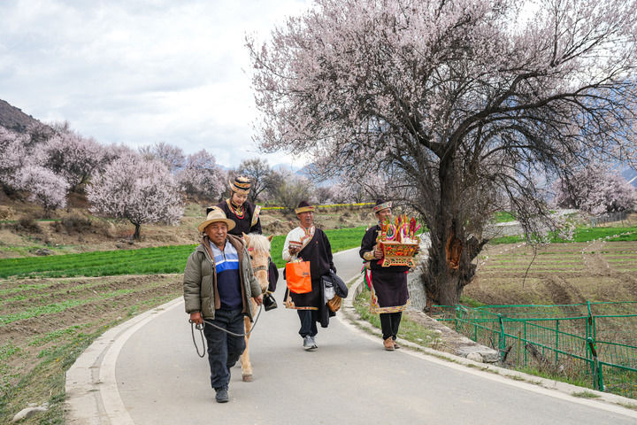 总书记在全国两会上的重要部署引领中国式现代化谱新篇(图10)
