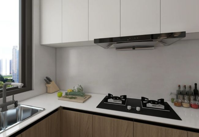 新房装修选什么板材环保又实用？(图2)