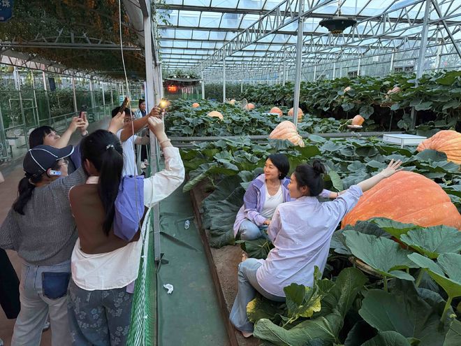 18亿传播量！“开局看山东”融媒体行动圆满收官 全景展现齐鲁大地“十五五”开局之年奋进新图景(图12)