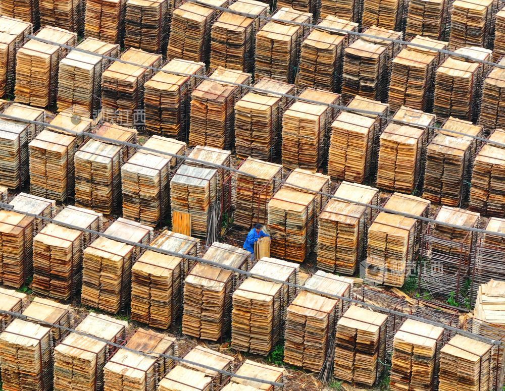 泰和县：晾晒板材（图）(图8)