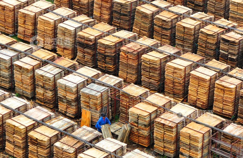 泰和县：晾晒板材（图）(图9)