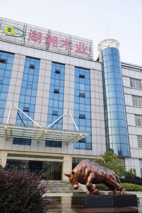 重磅！2025板材十大品牌排名揭晓谁将独占鳌头？(图3)