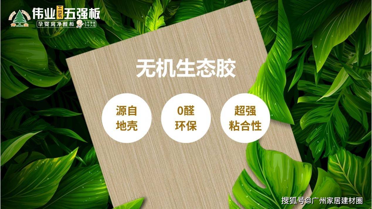 普通胶水在颤抖！伟业五强板无机生态胶掀起行业革命(图2)