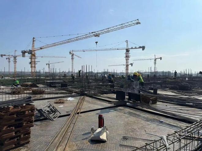 临沂：人才战略推动“板材之都”逆势上扬(图3)