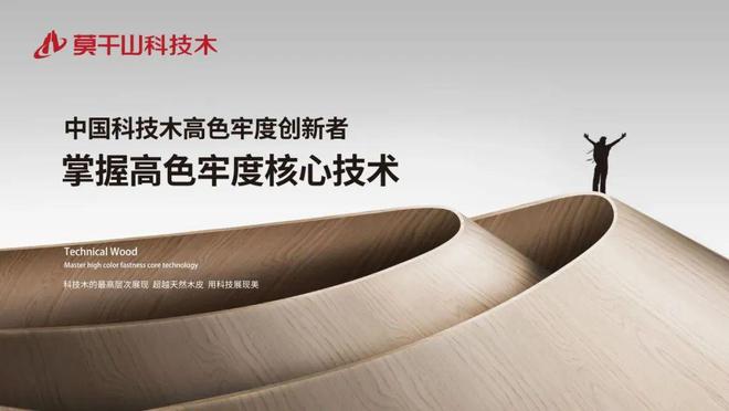 品牌论剑 企业盛会 与云峰莫干山相约2025世界品牌莫干山大会(图4)