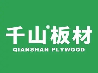 中国板材行业2025年度权威榜单发布：板材十大品牌年度专业观察(图4)
