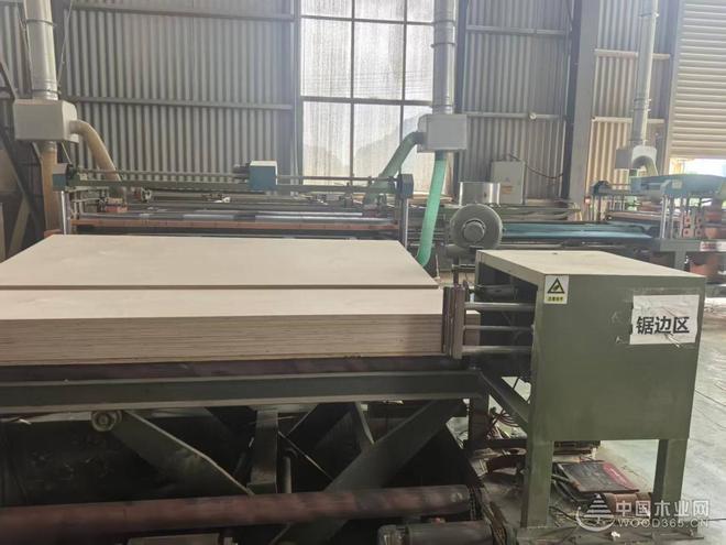 落子浙西枢纽 杰业板材江山基地开启生态免漆板发展加速度(图3)