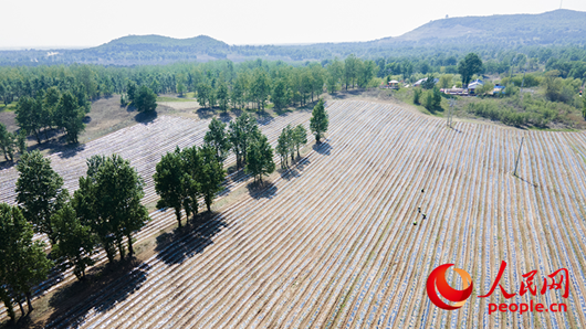 辽宁：绿水青山底色更亮金山银山成色更足(图2)