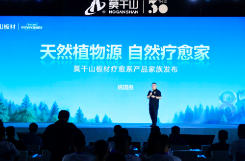 莫干山家居重塑环保边界：从物理安全到身心疗愈的生态革命(图4)