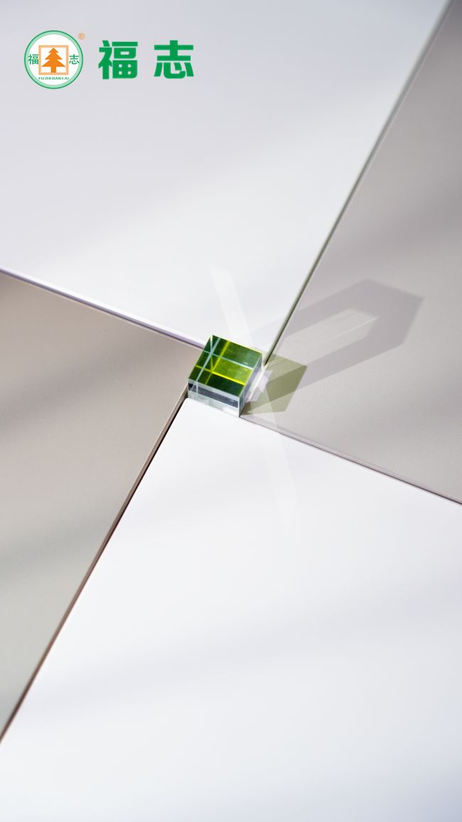 福志板材新品发布：以创新工艺引领家居美学新风尚(图5)