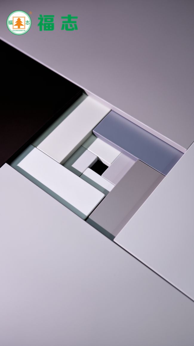 福志板材新品发布：以创新工艺引领家居美学新风尚(图3)