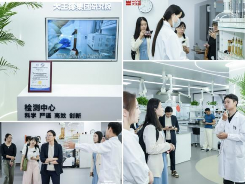 央媒领衔品质溯源从“颜质双高”的美学新作透视大王椰品牌跃迁(图9)