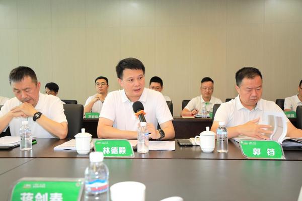 推动家居新材料技术革新 三棵树“实木水漆板”获评“国际领先”(图5)