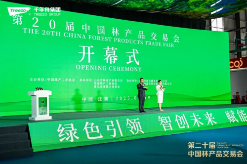 千年舟闪耀第20届中国林交会绿色智创引领行业新风(图5)