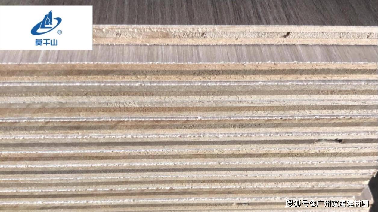 板材行业领先品牌有哪些？2025年板材十大领先品牌(图4)