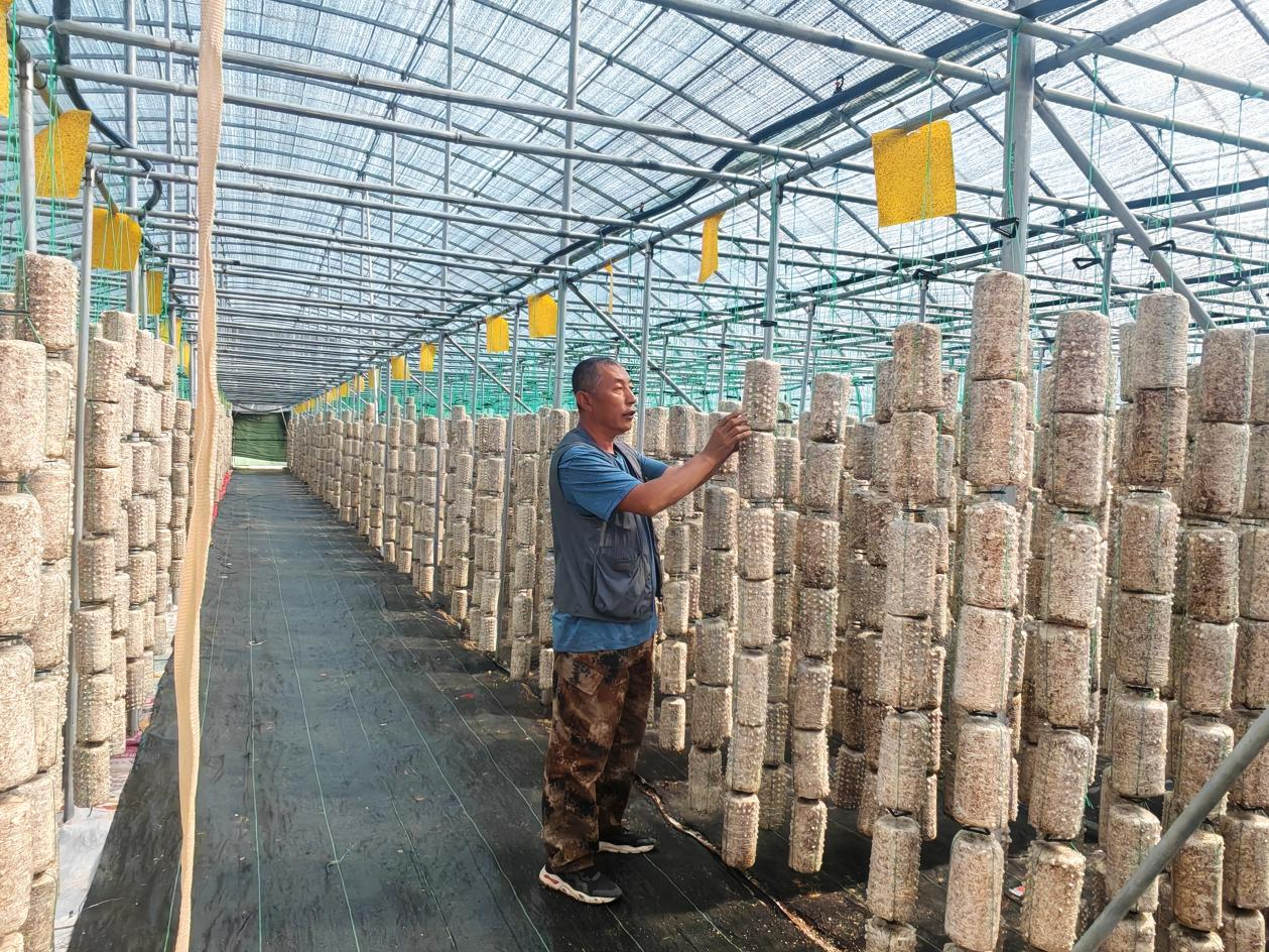 山西交城：一城山水蕴新章(图3)