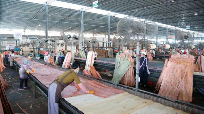 柳城这家企业满负荷运转赶订单(图2)