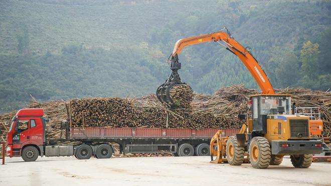 从“烧枝丫”到“产好板”(图2)