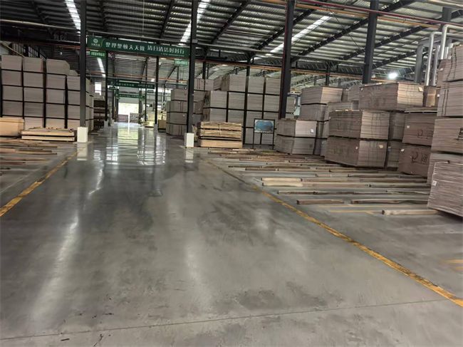 全力进击杰业板材深耕华中市场彰显品牌拓展实力(图4)