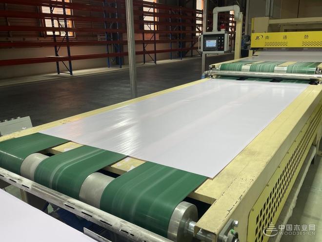 【专访】桔瑞森姚家全：年产能近百万 剑指“绿色家居引领者”(图4)