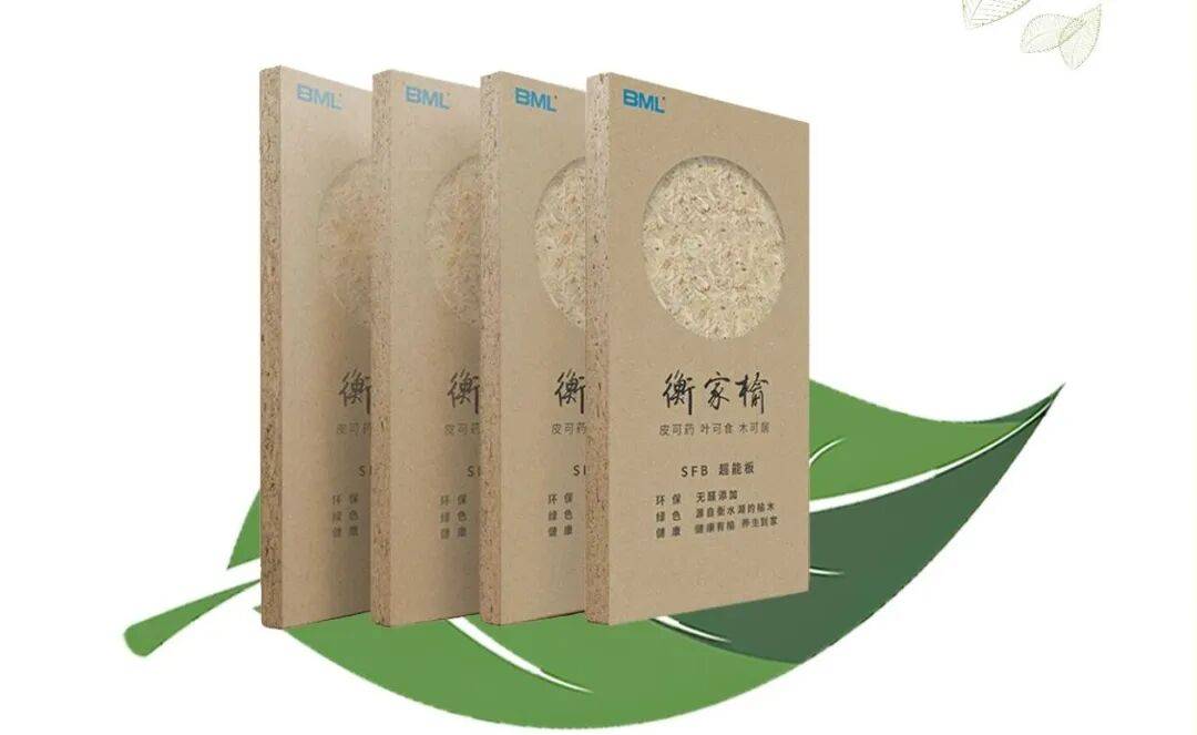 巴迈隆武秀梅董事长受邀出席第22届全国人造板工业发展研讨会(图3)