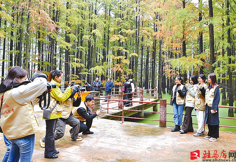 采撷发展瞬间 见证时代新貌(图2)