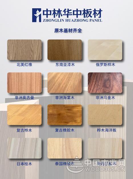 中林华中板材发布新品原木系列：以自然为本助力“好房子”建设(图2)