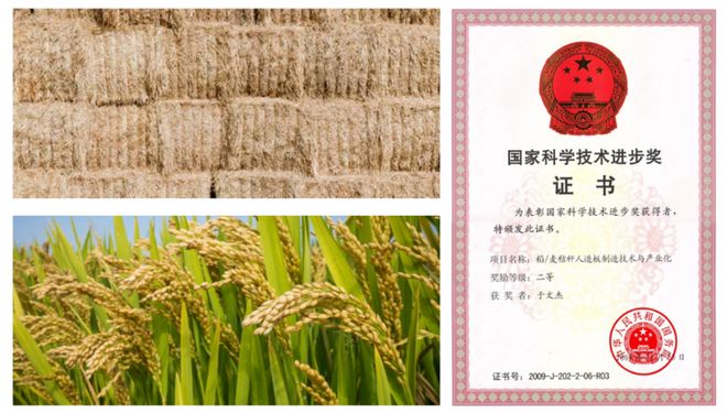 万华禾香斩获无醛板材全球销量桂冠以硬核实力助力“双碳”战略(图3)