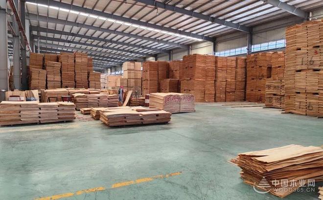 拓宽品牌新边界 丰收吉祥板材与中国木业网达成战略合作！(图2)