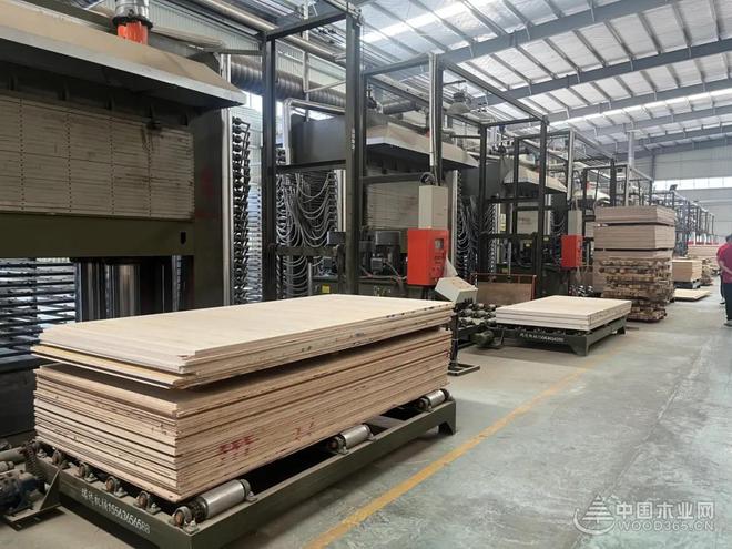 拓宽品牌新边界 丰收吉祥板材与中国木业网达成战略合作！(图3)